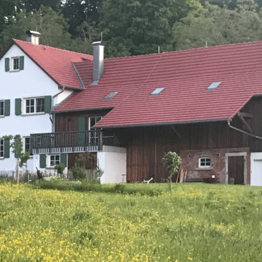 Sanierung Scheune und Neubau