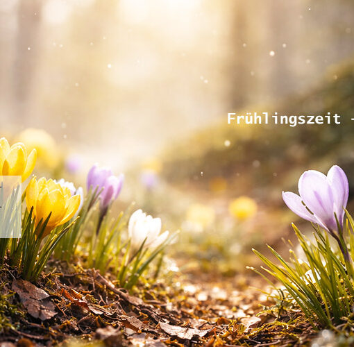 Frühlingszeit - Sanierungszeit.